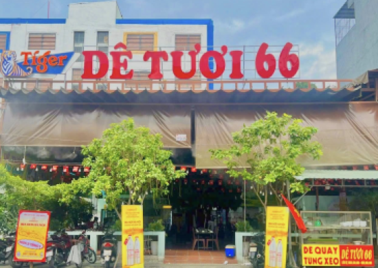 Dê Tươi 66
